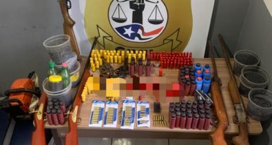 Polícia desmonta esquema ilegal de comercialização de armas de fogo