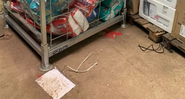 Homem negro é torturado após suspeita de furto em supermercado de Santa Inês