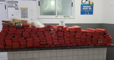 Polícia Civil apreende 170 tabletes de maconha em Alto Alegre do Maranhão