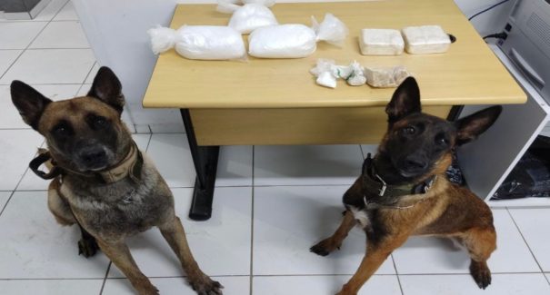 Homem é preso transportando 2,5 kg de cocaína em São Luís