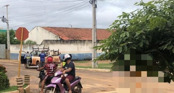 Câmera flagra momento em que veículo de empresa atropela cachorro em Balsas