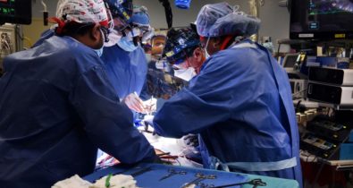 Cirurgiões transplantam com sucesso um coração de porco em uma pessoa