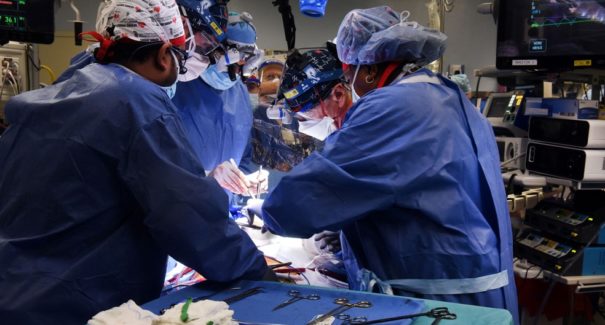 Paciente transplantado com coração de porco morre dois meses após procedimento