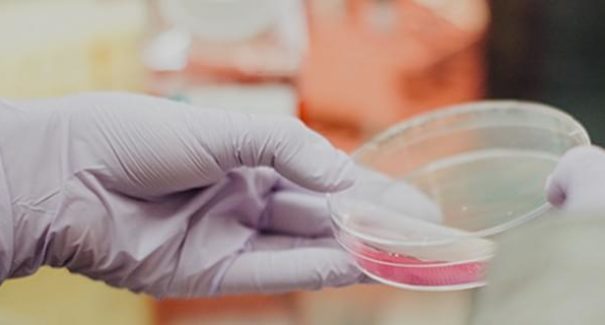 Dia do Farmacêutico: a profissão está cada vez mais próxima da população
