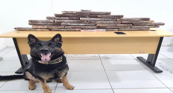 Irmãs são presas com drogas vindas de Minas Gerais para o Maranhão