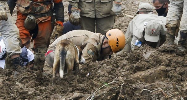 Mortes pela chuva em Petrópolis chegam a 120
