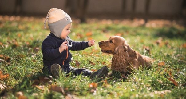 A convivência entre crianças e pets: o que fazer para que sejam grandes amigos