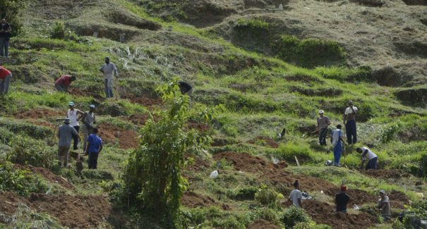 Petrópolis: cemitério improvisa covas para receber vítimas da chuva