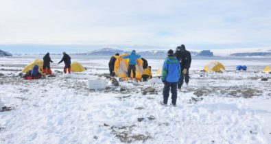 Antártica: micróbios podem ajudar limpeza de plásticos