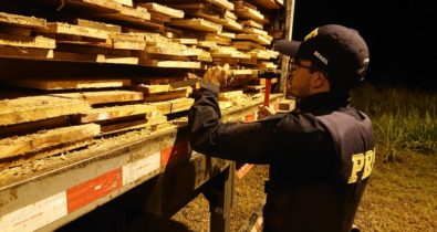 Polícia Federal apreende madeira nativa transportada ilegalmente na BR-010