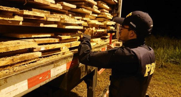 Polícia Federal apreende madeira nativa transportada ilegalmente na BR-010