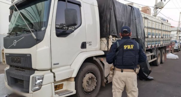 Polícia Federal apreende caminhão que transportava bovinos sem nota fiscal