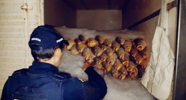 Caminhão com 3 toneladas de pescado é apreendido pela PRF