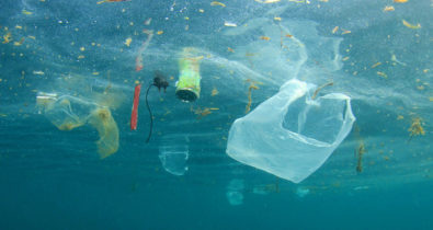 Plástico corresponde a 48,5% dos itens encontrados no mar do Brasil