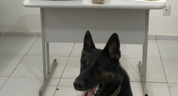 Uma mulher é presa suspeita de tráfico de drogas, no bairro Madre Deus