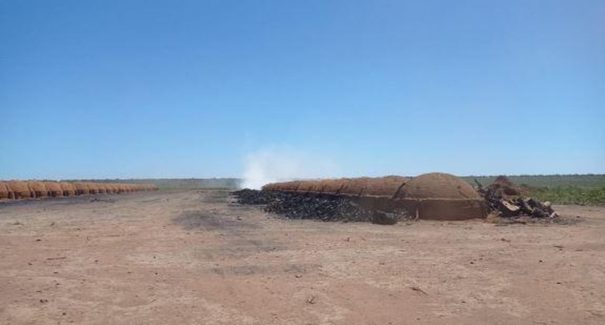 PF deflagra operação de combate ao trabalho análogo à escravidão no Maranhão