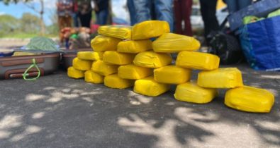 Em São Luís, drogas estimadas em meio milhão de reais foram apreendidas pela Polícia Civil