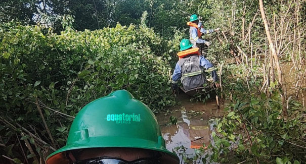 Equatorial Maranhão realiza manutenção na rede de Poção de Pedras