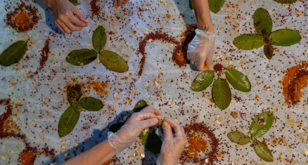 Projeto estimula criação de coleções contemporâneas do artesanato do Maranhão