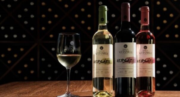 Evento traz a São Luís apresentação dos vinhos Casa de Santa Vitória