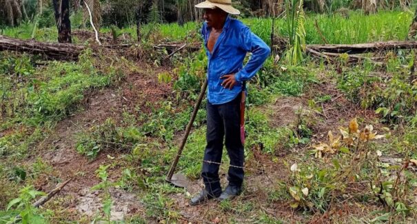 Atenção para violência no campo