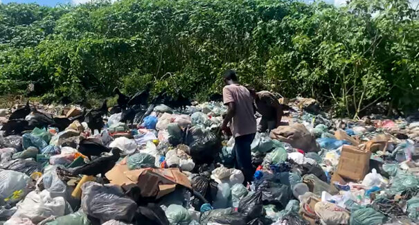 Adolescentes são encontrados em situação de trabalho infantil, no Maranhão