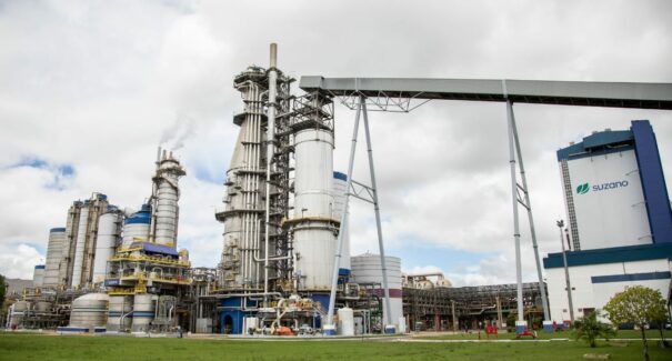 Expoindústria 2022: empresa Suzano apresenta modelo de negócio aliado à inovabilidade