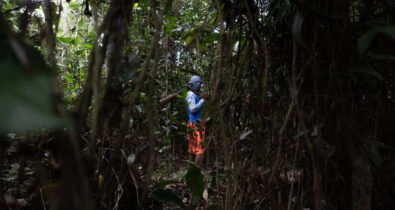 Suspeito confessa assassinato de jornalista e indigenista, na Amazônia