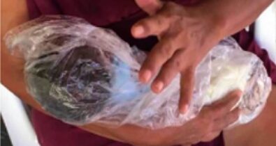 Em Raposa, um recém-nascido é encontrado em saco plástico