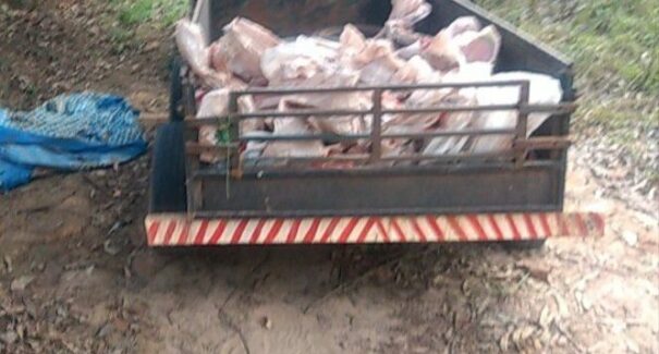 Homem é preso suspeito de roubo qualificado na empresa Vale, no Maranhão