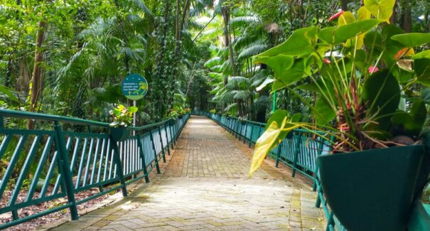 Visitantes do Parque Botânico Vale terão acesso gratuito a serviços de saúde neste sábado (19)