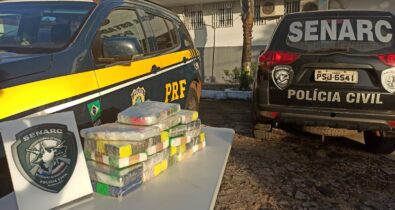 Operação da polícia apreende cerca de 700 mil reais em drogas, em São Luís
