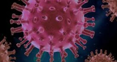 Ministério da Saúde confirma oitavo caso de varíola dos macacos no país