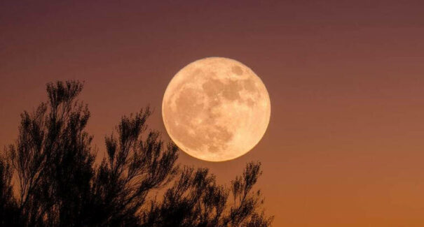 Superlua mais brilhante do ano será visível no Brasil nesta quarta-feira (05)