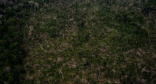 MPF apresenta ação contra União e Estado do Maranhão por registros de imóveis em áreas Indígenas