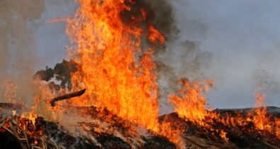 Focos de incêndio crescem no Maranhão