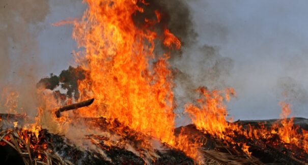 Focos de incêndio crescem no Maranhão
