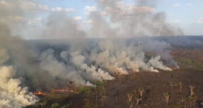 MJ envia Força Nacional para auxiliar no combate a incêndios florestais em terras indígenas no MA