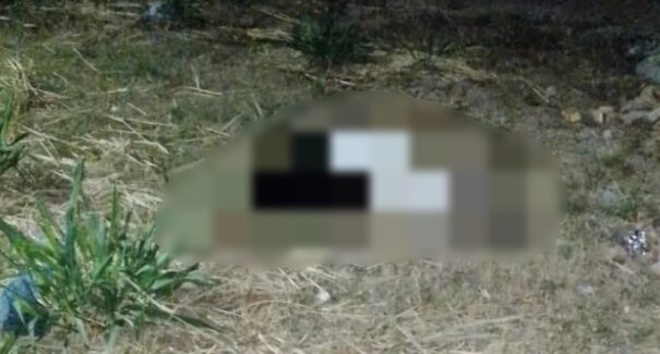 Mulher é morta a golpes de faca no interior do Maranhão