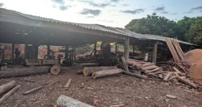 Polícia Federal deflagra operação para combater extração ilegal de madeira