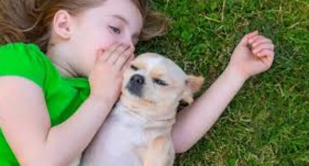 Benefícios dos pets para o desenvolvimento infantil