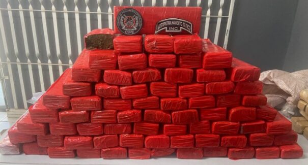 Operação da polícia apreende em São Luís e São Mateus 80kg de maconha