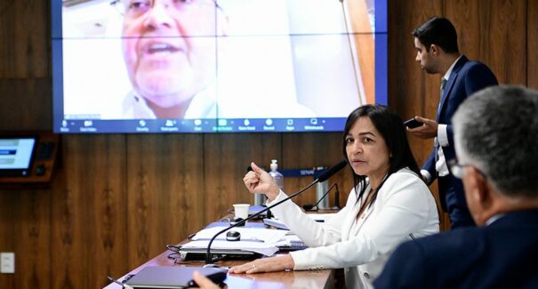 Após ilegalidade apontada por Eliziane Gama, comissão para avaliar ferryboats no MA é adiada