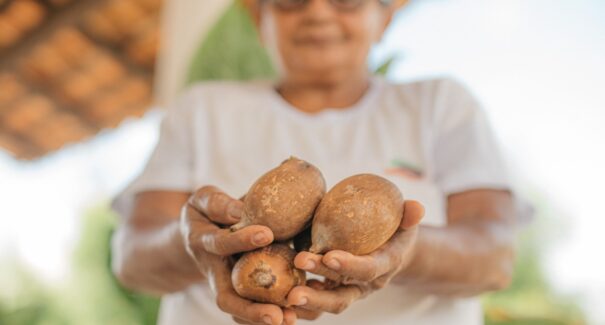 Painel sobre quebradeiras de coco babaçu do Maranhão é exibido na ONU, em Nova York