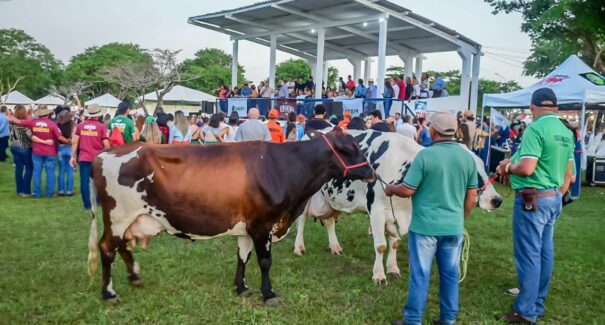Expoema movimenta economia e turismo