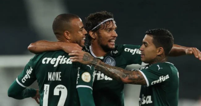 Palmeiras vence o Botafogo de virada e aumenta vantagem na liderança do Brasileirão