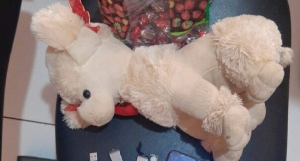 Idoso que aliciava crianças utilizando doces e brinquedos é preso, em Igarapé do Meio
