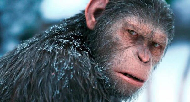Fox anuncia novo filme da franquia ‘Planeta dos macacos’, para 2024