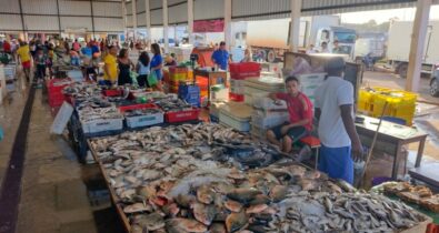 Pescados ficam mais caros em São Luís