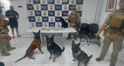 Cães farejadores ajudam a prender suspeito de tráfico de drogas em São Luís